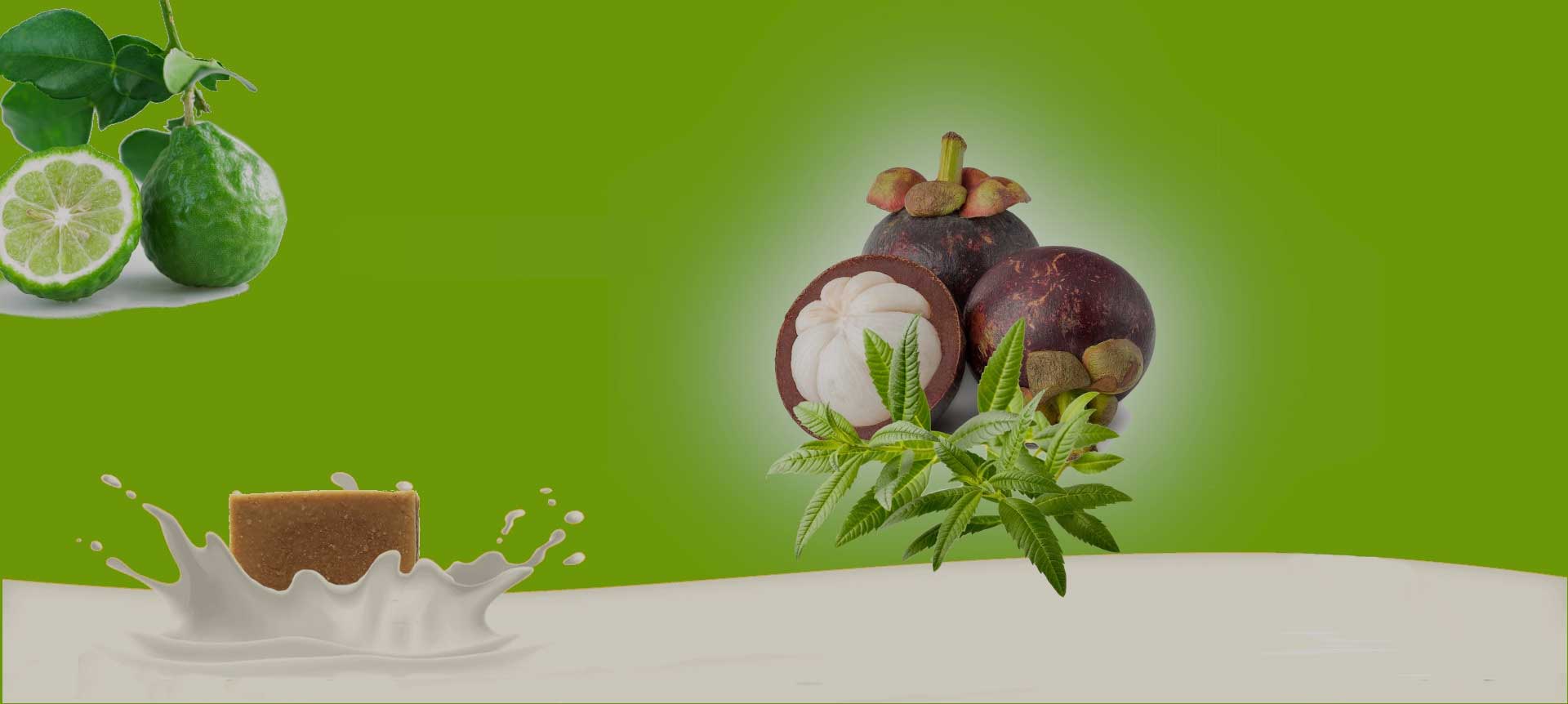 Welcome To Purulia Herbal 